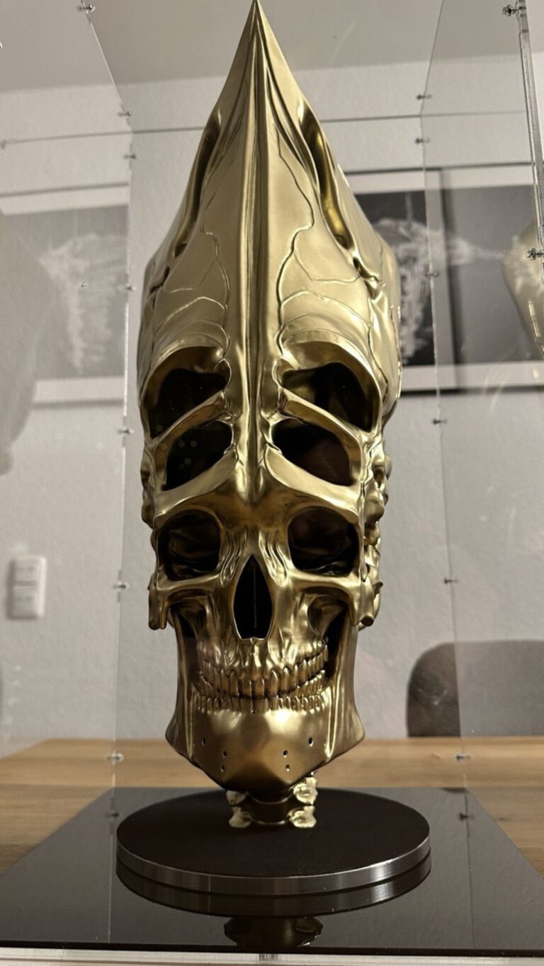 Tool Skull Display